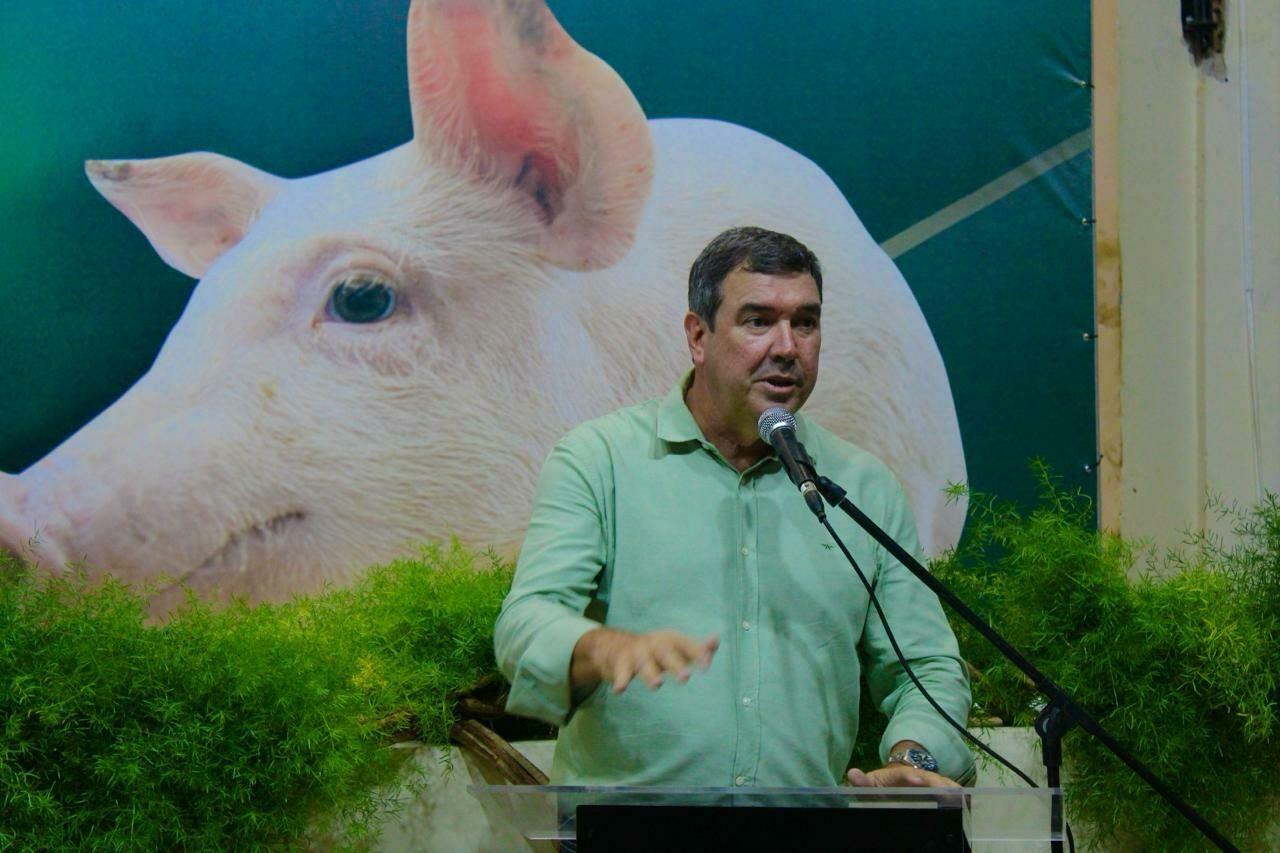 Imagem de compartilhamento para o artigo Suinocultura de MS deve atingir 150 mil matrizes nos próximos dois anos da MS Todo dia